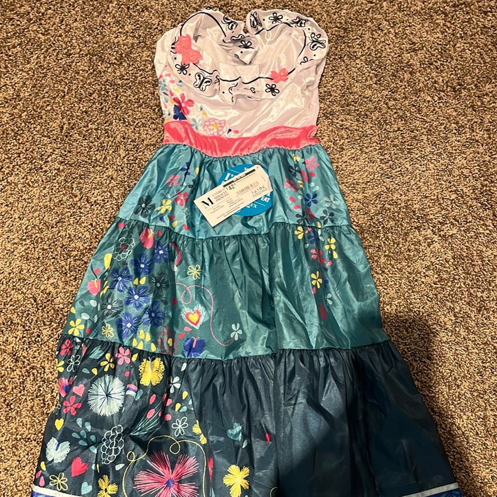 Encanto dress
